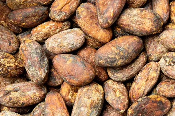 Background of roasted unpeeled cocoa beans.