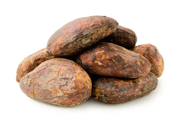 Pile of roasted unpeeled cocoa beans isolated on white.