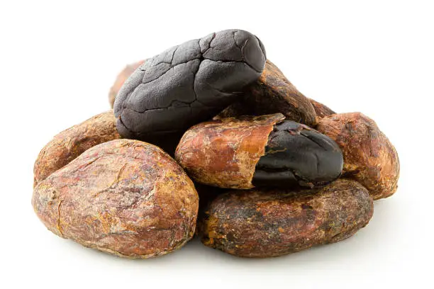 Pile of roasted unpeeled and peeled cocoa beans isolated on white.