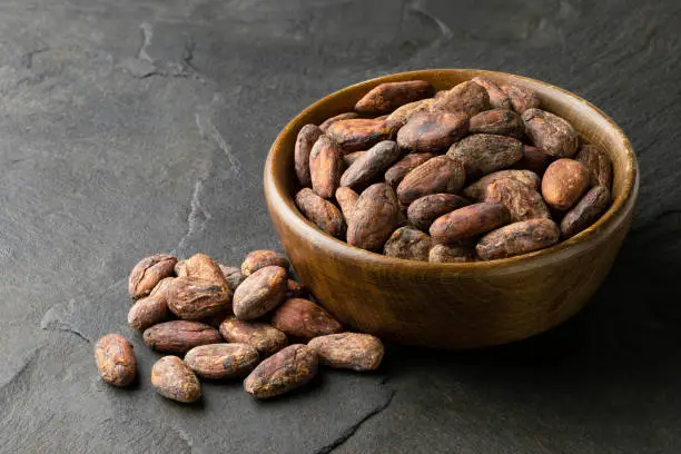 Roasted unpeeled cocoa beans in a brown wooden bowl next to a pile of unpeeled cocoa beans isolated on black slate.