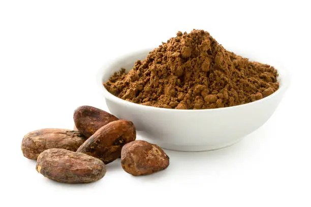 Cocoa powder in a white ceramic bowl next to roasted unpeeled cocoa beans isolated on white.