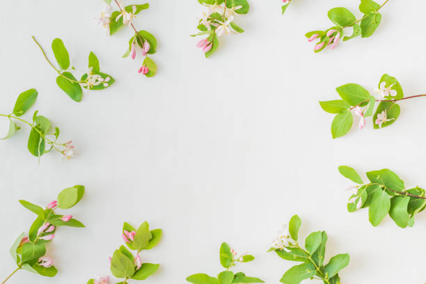istock Flat lay pattern with branches and green leaves on a white background 1153687347