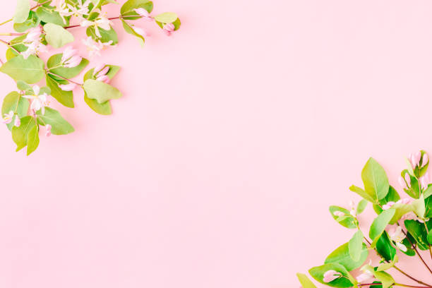 istock Flat lay composition with branches and green leaves on a pink background 1153687348