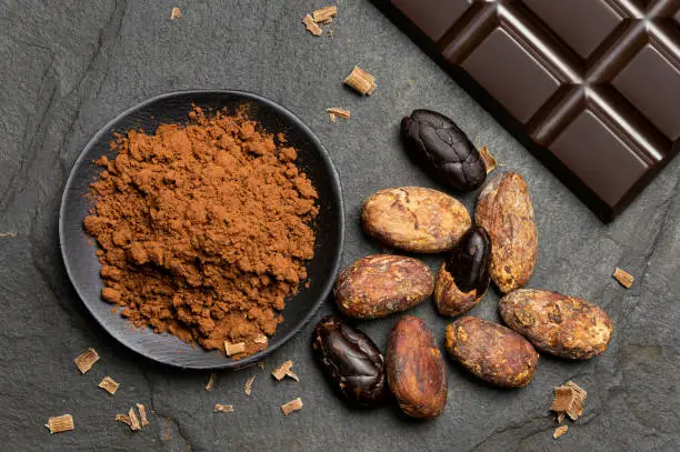 Cocoa powder in a black ceramic dish next to roasted peeled and unpeeled cocoa beans, chocolate shavings and a slab of dark chocolate on black slate from above.