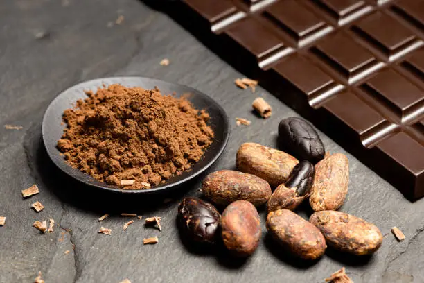 Cocoa powder in a black ceramic dish next to roasted peeled and unpeeled cocoa beans, chocolate shavings and a slab of dark chocolate on black slate.