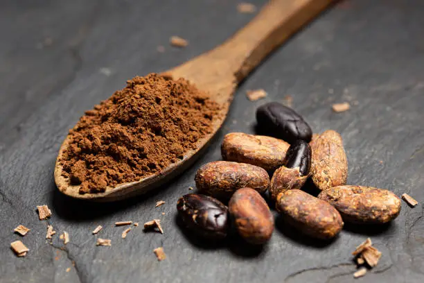 Cocoa powder on a wooden spoon next to roasted peeled and unpeeled cocoa beans and chocolate shavings on black slate.