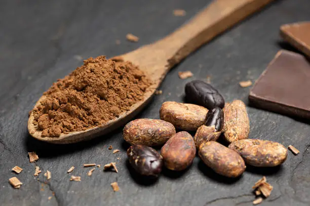 Cocoa powder on a wooden spoon next to roasted peeled and unpeeled cocoa beans, chocolate shavings and chocolate squares on black slate.