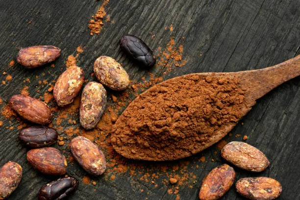 Cocoa powder on a wooden spoon isolated on black rustic wood board from above. Spilt cocoa and roasted peeled and unpeeled cocoa beans.