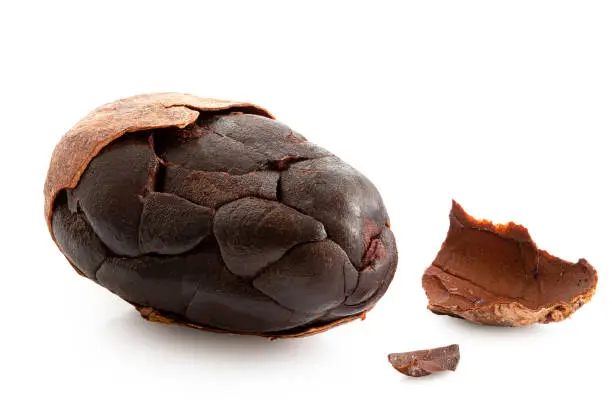 One roasted partly peeled cocoa bean isolated on white.