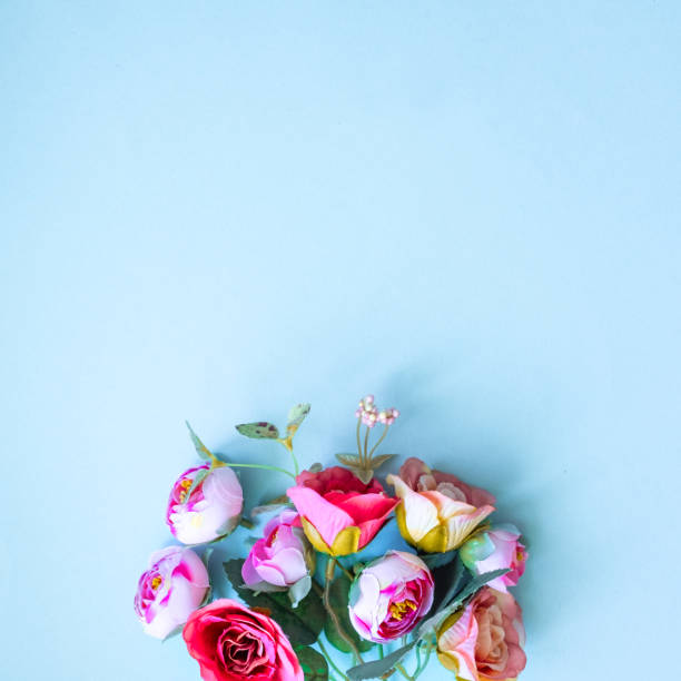 istock Abstract composition of spring flowers on blue  background. 1153687947