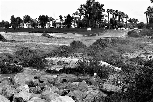 Flash flood in Coachella Valley in Cathedral City California USA.  In black and white film.  Next to the city of Palm Springs.  Water rushing across golf course and Cathedral Drive.