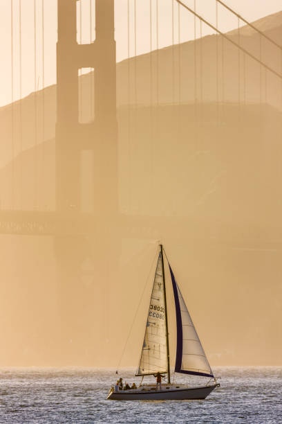 San Francisco Bay area in California on May 08, 2009: Sailing by the Golden Gate Bridge in San Francisco California in late afternoon golden light seen from the Embarcadero