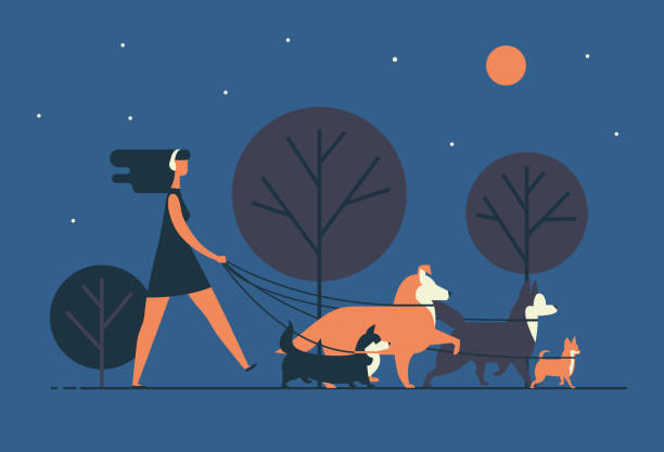 ilustrações, clipart, desenhos animados e ícones de a mulher nova que desgasta o vestido e os auscultadores anda cães na trela ao longo da rua da noite. a menina passeia vagaroso com seus animais de estimação no parque na noite. ilustração colorida do vetor dos desenhos animados no estilo liso moderno. - large group of animals audio