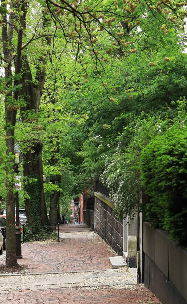 istock Beacon Hill neighborhood in downtown Boston 1153692414