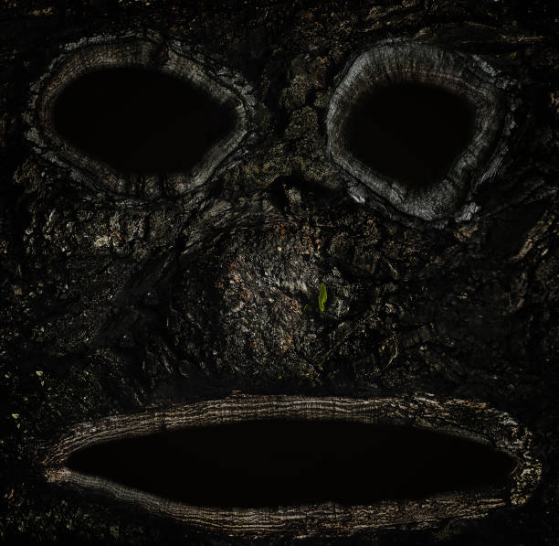 istock monster muzzle of wood bark close up 1153696433