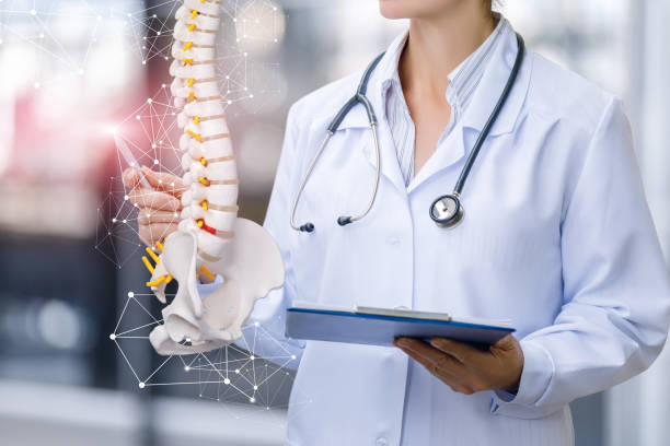 un travailleur médical montre la colonne vertébrale. - spinal photos et images de collection