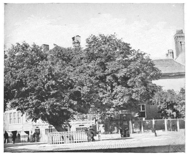 istock Frederick the Great’s Petition Tree in Potsdam, Germany - Imperial Germany 19th Century 1153703433