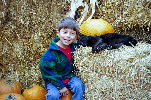 One young cute Latino male child, wearing a winter jacket, siting on a pumpkin at a coastal pumpkin farm, with a black cat sleeping on a nearby hay pale.

Image taken in Half Moon Bay, California, USA.