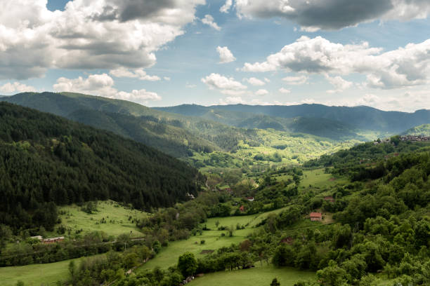 istock Landscape of Zlatibor Mountain 1153705714