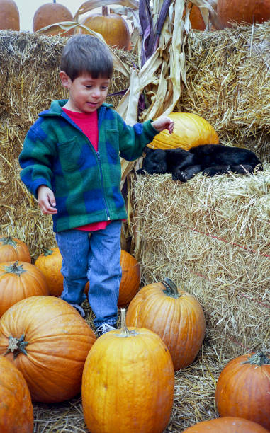 istock Young Latino Boy at Pumpkin Farm 1153705947