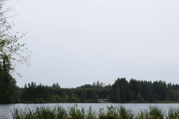 istock Deep Lake Against Cloudy Sky At Millersylvania State Park 1153707563