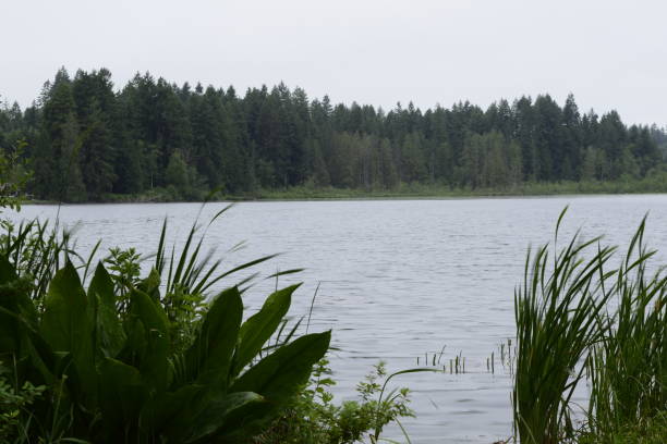 Deep Lake Against Cloudy Sky At Millersylvania State Park