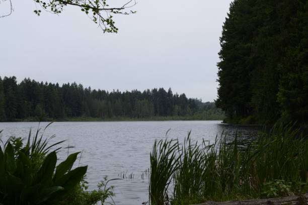 istock Deep Lake Against Cloudy Sky At Millersylvania State Park 1153707585