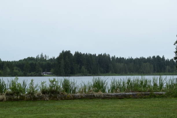 istock Deep Lake Against Cloudy Sky At Millersylvania State Park 1153707626