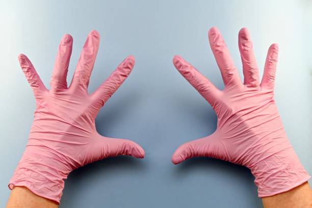 istock Two hands in gloves show all ten fingers. 1153707689