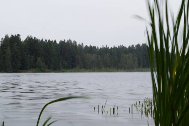 istock Deep Lake Against Cloudy Sky At Millersylvania State Park 1153707725