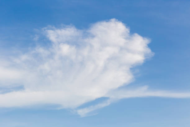 Blue sky with clouds background.Sky daylight. Natural sky composition. Element of design.