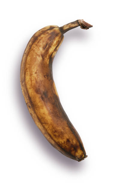 overipe banana, wyizolowany na białym tle - banana rotting ripe above zdjęcia i obrazy z banku zdjęć