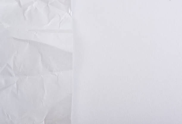 istock white strip of paper on a white background 1153708941