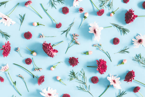 istock Flowers composition. Eucalyptus leaves and pink flowers on blue background. Flat lay, top view 1153709961