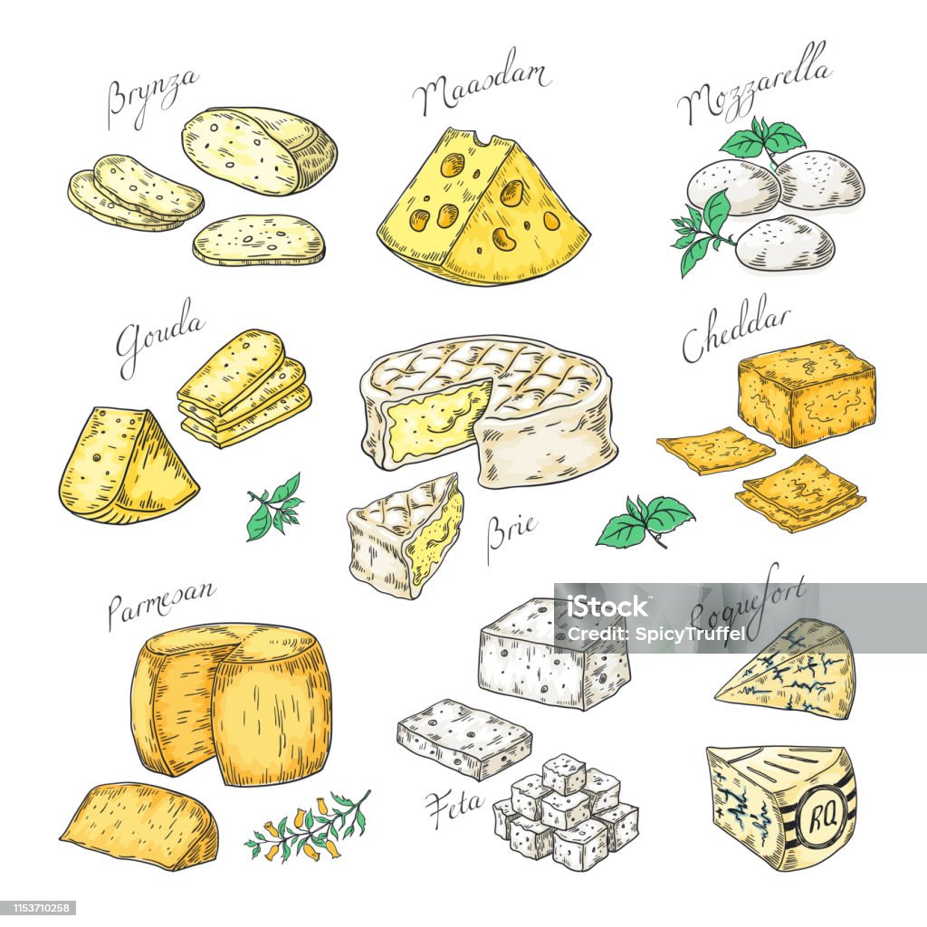 Hand drawn cheese. Doodle appetizers and food slices, different cheese types Parmesan, brie cheddar feta. Vector sketch of snacks Hand drawn cheese. Doodle appetizers and food slices, different cheese types Parmesan, brie cheddar feta. Vector vintage sketch of snacks assorted Cheese stock vector