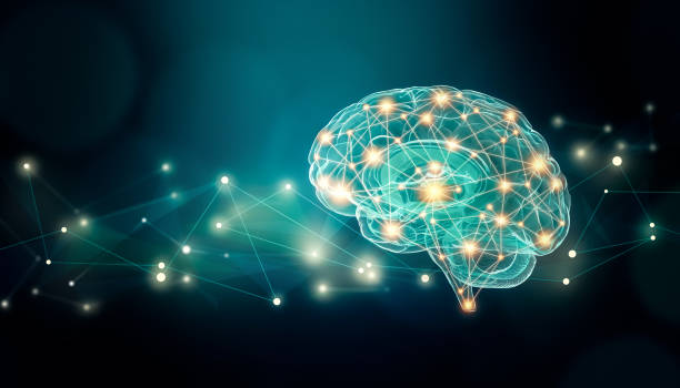 추상적인 배경과 신경 총 라인 네트워크 및 복사 공간을 가진 인간의 두뇌 귀하가 connexions 그림. 대뇌 또는 신경 활동 개념. - brain x ray image nerve cell intelligence stock illustrations