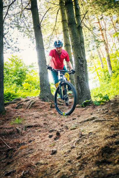 istock Mountain biker riding on bike on forest dirt trail 1153710516