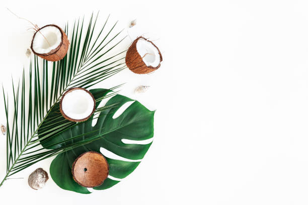 istock Summer composition. Tropical palm leaves, coconut on white background. Summer concept. Flat lay, top view, copy space 1153711081