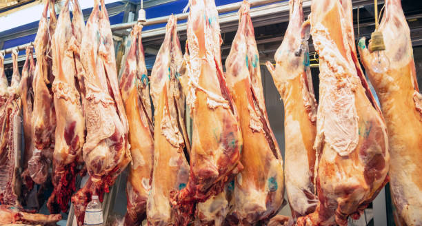 istock Meat concept. Lamb, sheep hanged on hooks, butcher shop. Uncooked mutton for background, closeup. 1153711264