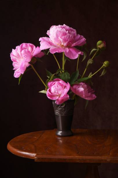 istock Beautiful background with pink peony flowers - Paeonia 1153711295