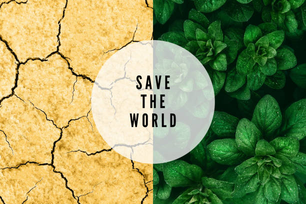 Collage of leaves and arid earth Collage of beautiful ufo green leaves and arid yellow earth. Save the planet ecological concept with text save the world goldco info stock pictures, royalty-free photos & images