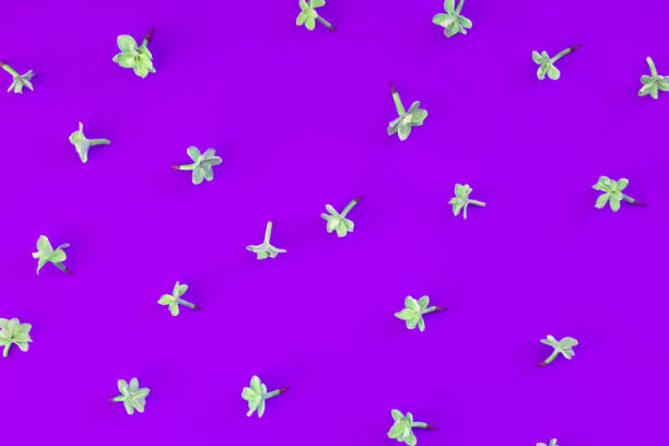 istock Floral simple minimalist wallpaper 1153712728