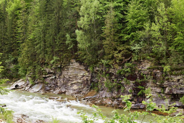 istock Mountain landscape, forest, green trees, beautiful curving river, exciting scenary, interesting place for visiting and having rest, rocky mountain, water, photo of wonderful nature. Traveling concept. 1153713172