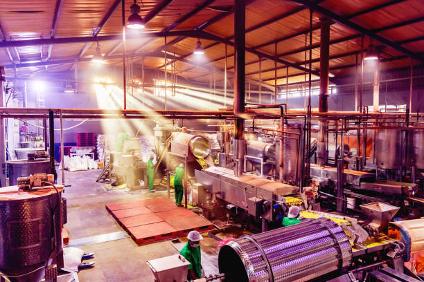 Automated Food Processing Plant in Africa Food Processing, Crunchy, Snacks - Food Processing Plant in Production vegetable factory stock pictures, royalty-free photos & images