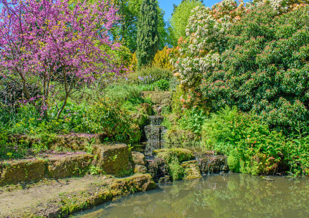 istock Glorious colours at the garden waterfall 1153719369