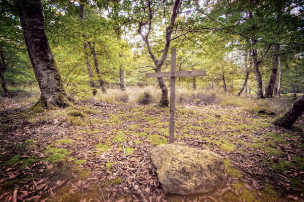 istock Norman forest in autumn 1153725188