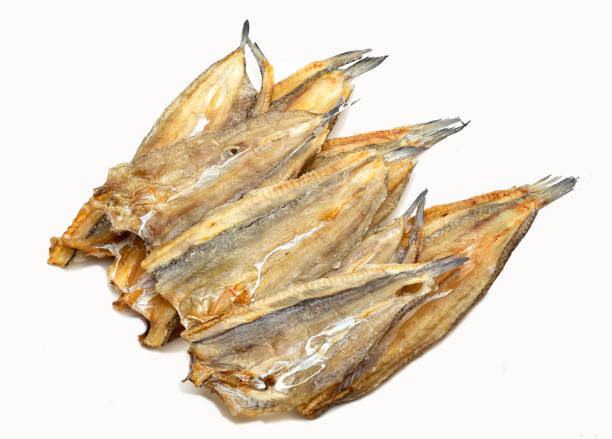 istock salted fishes on white background 1153736919