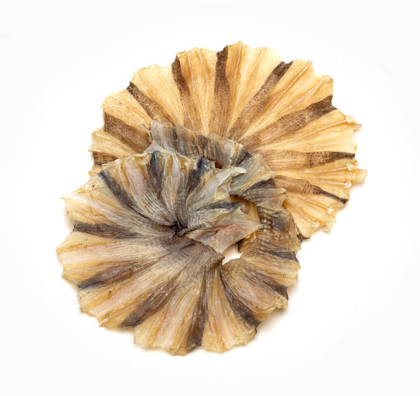 istock salted fishes on white background 1153737036