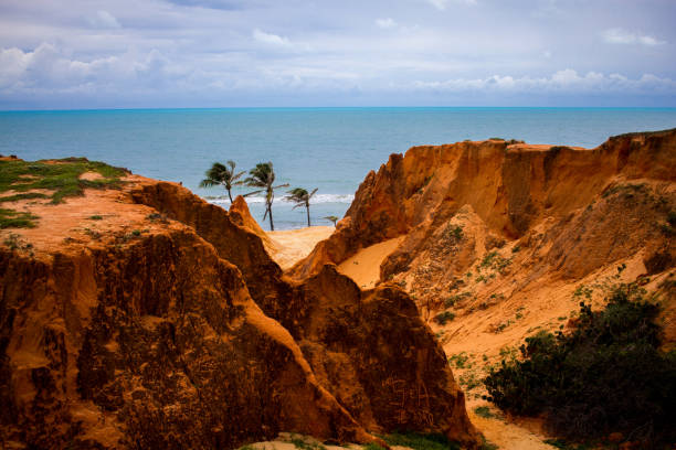 Brazilian Northeast Beach