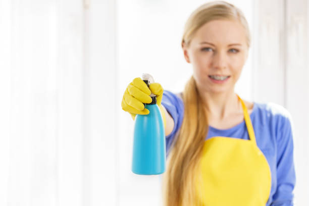 istock Woman cleaning window at home 1153739655